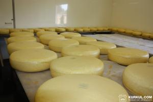 Студенти на Київщині створили кооператив з виготовлення сиру