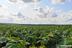 Громада на Луганщині незаконно передала землі запасу «чорним» фермерам — Оденчук