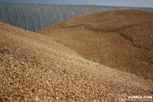 За 5 років експорт зернових з України в Китай збільшився у 20 разів