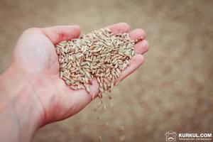 Україна продовжує нарощувати експорт зернових до країн MENA — експерт