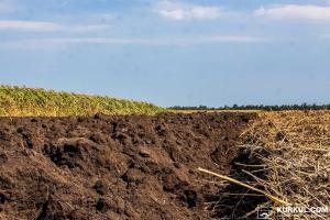В Україні можуть провести Всеукраїнський референдум щодо відкриття ринку землі