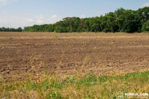 Україна має створити можливість купівлі землі для фермерів — Гончарук