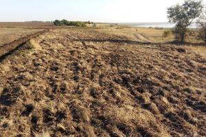 На Одещині фермери розорали заповідний степ
