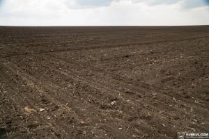 В Україні створять агенство гарантування кредитів для фінансування купівлі землі фермерами