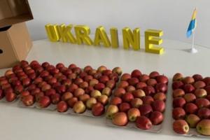 Українська компанія розпочинає експорт яблук до Африки