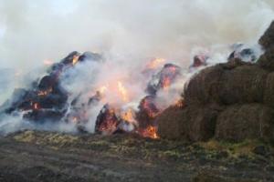  На Київщині згоріла 1 тисяча тонн тюкованого сіна