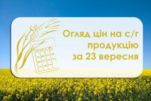 В Україні змінилася ціна соняшнику та сої — огляд за 23 вересня