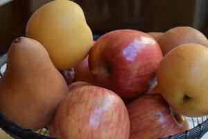 Заморозки можуть погіршити якість фруктів — прогноз