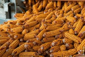 Україна продовжує нарощувати експорт зернових