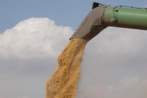 Експортери та МінРЕТС підписали Меморандум про співпрацю на ринку зерна