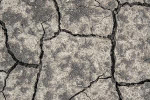 Половина с/г земель в Україні залишаються у стані посухи