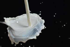 В Україні заборонять продаж молочної продукції з рослинними інгредієнтами