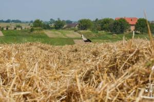 USAID допоможе розвивати сільський туризм в Україні