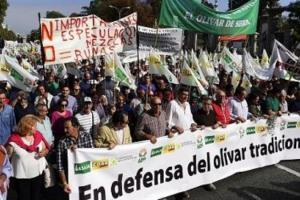 Іспанські фермери провели акцію протесту за зміну системи ціноутворення