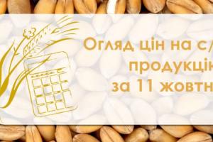 В Україні подешевшав соняшник — огляд цін на с/г продукцію за 11 жовтня