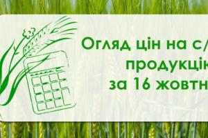 В Україні подешевшала соя — огляд цін на с/г продукцію за 16 жовтня