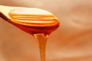 Кількість фальсифікованого меду у світі збільшується — експерт