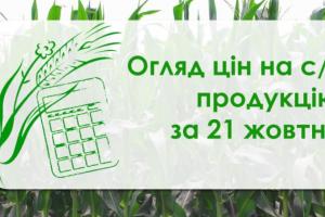В Україні подешевшали зернові та олійні — огляд цін на с/г продукцію за 21 жовтня