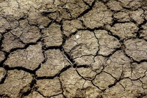 На Черкащині через аномальну посуху під загрозою врожаї