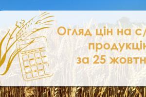 Як змінились ціни на зернові в Україні — огляд за 25 жовтня