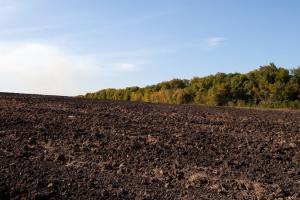 За роки дії мораторію на продаж земель в Україні з'явилося 16 видів деградації ґрунту