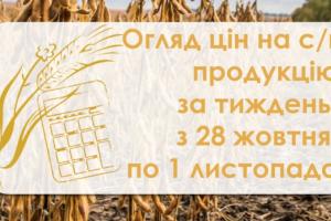 Кукурудза, соя, соняшник — як змінилися ціни на с/г продукцію за тиждень з 28 жовтня по 1 листопада