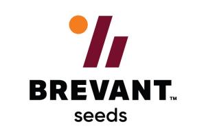 Дистриб'ютори відмовляються продавати насіння Brevant 