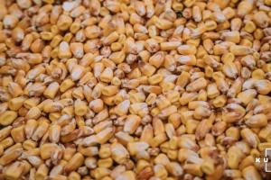 В Україні вже перевищено минулорічний збір зернових