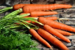 Україна в листопаді припинила імпортувати моркву з Білорусі