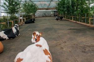 В Німеччині збудують корівник-сад задля збільшення надоїв