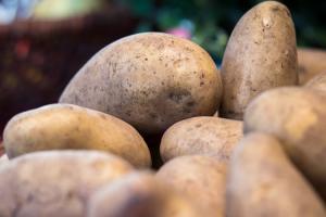В Україну не пустили 20 тонн російської картоплі