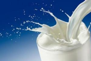 Через брак сировини українські переробники купуватимуть молоко в Польщі 
