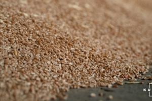 Україна експортувала понад 25 млн тонн зерна