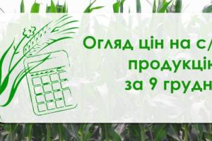 Зросла ціна ячменю та кукурудзи — огляд цін на с/г продукцію за 9 грудня