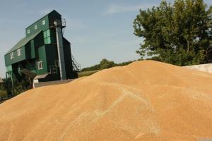 Рівненщина встановила рекорд із валового збору зерна