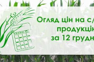 В Україні подорожчала пшениця та кукурудза — огляд цін на с/г продукцію за 12 грудня