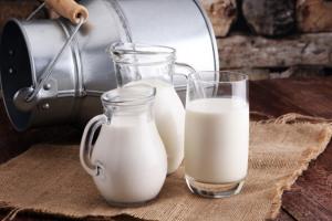 Виручка від експорту молочки за листопад скоротилася майже на 50%