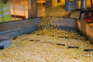 Україна експортувала понад 27 млн тонн зерна