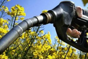 В Україні рекомендують прийняти законопроект щодо розвитку ринку рідких біопалив