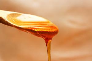 В Україні 50% травневого та акацієвого меду є підробкою — дослідження