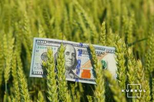 На Сумщині інвестиції в аграрний сектор склали понад 1,6 млрд гривень