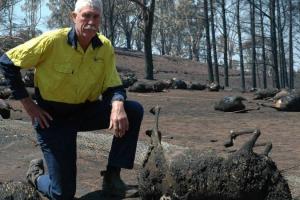 Австралійський фермер Пітер Поул перевіряє, що залишилося від його худоби