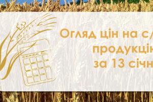 Зернові подешевшали — огляд цін на с/г продукцію за 13 січня