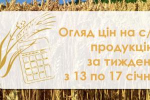 В Україні подорожчала пшениця — огляд цін на с/г продукцію за тиждень з 13 по 17 січня