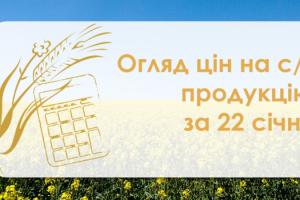 В Україні дорожчає кукурудза — огляд цін на с/г продукцію за 22 січня