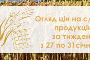 Ціна пшениці та кукурудзи зросла — огляд за тиждень з 27 по 31 січня