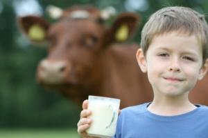 У школах планують відновити програму Склянка молока