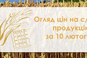 Кукурудза та пшениця подешевшали — огляд цін на с/г продукцію за 10 лютого