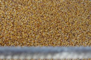 Напередодні звіту USDA в США знизились ціни на зернові 