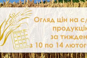 В Україні продовжує знижуватись ціна кукурудзи та ячменю  — огляд за тиждень з 10 по 14 лютого